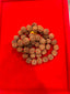 7 Mukhi Rudraksha Mala For Japa