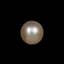 Golden South Sea Pearls