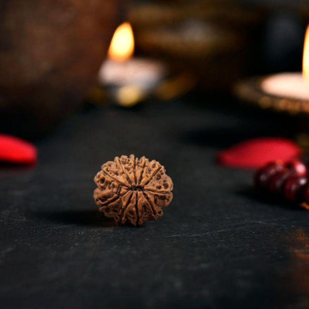 5 Mukhi Nepali Rudraksha : Meaning, Benefits, Significance & Why It Is the Most Popular Rudraksha