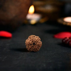  9 Mukhi Rudraksha (Nepali)