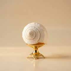 Shankh