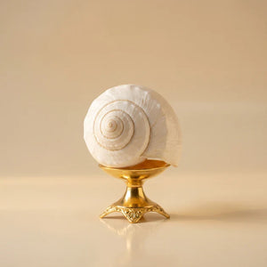 Shankh