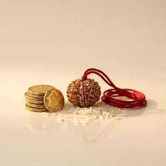 Wealth & Prosperity