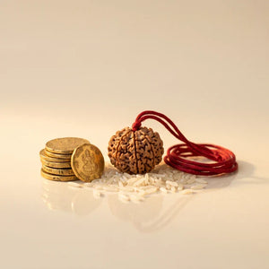 Wealth & Prosperity