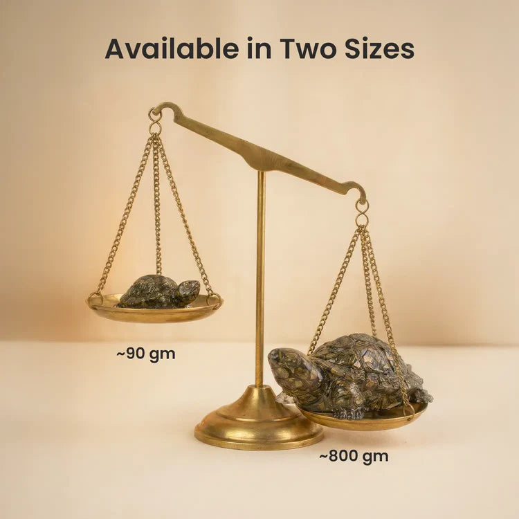 Vastu Pyrite Tortoise Combo – Small Kachhua with Big Kachhua