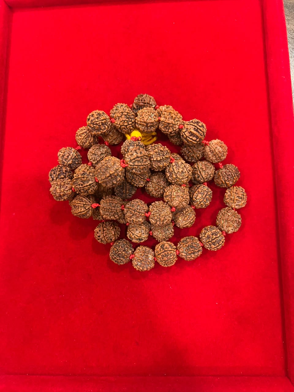 7 Mukhi Rudraksha Mala For Japa