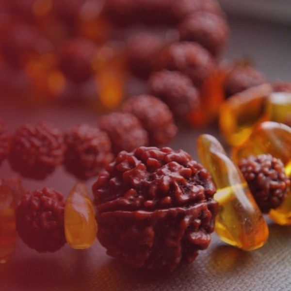 5 Mukhi Rudraksha (Nepali)