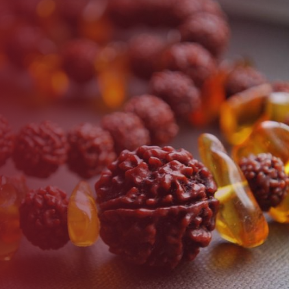 Natural 6 Mukhi Rudraksha (Nepali)