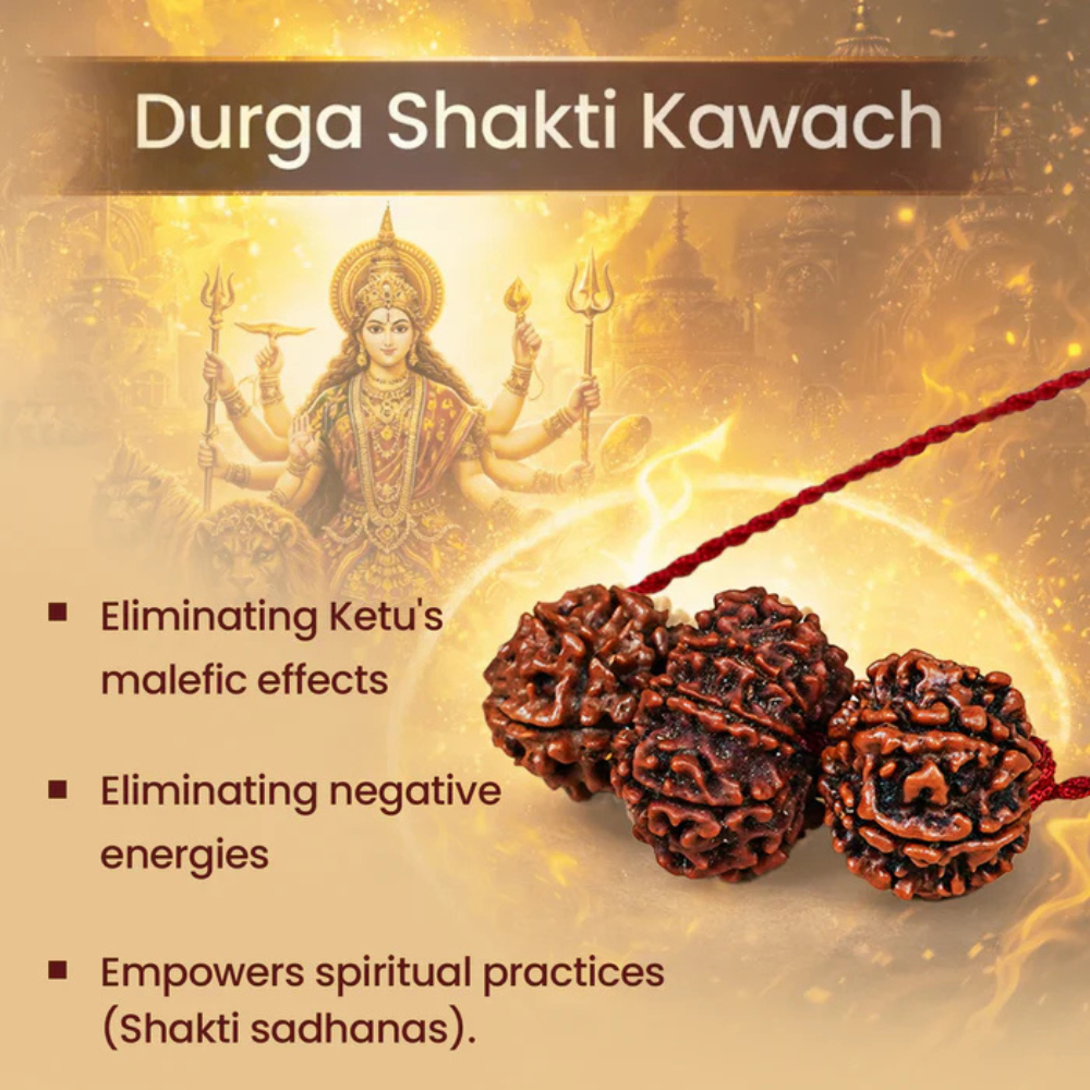 Shakti Kavach – 7 & 9 Mukhi Rudraksha