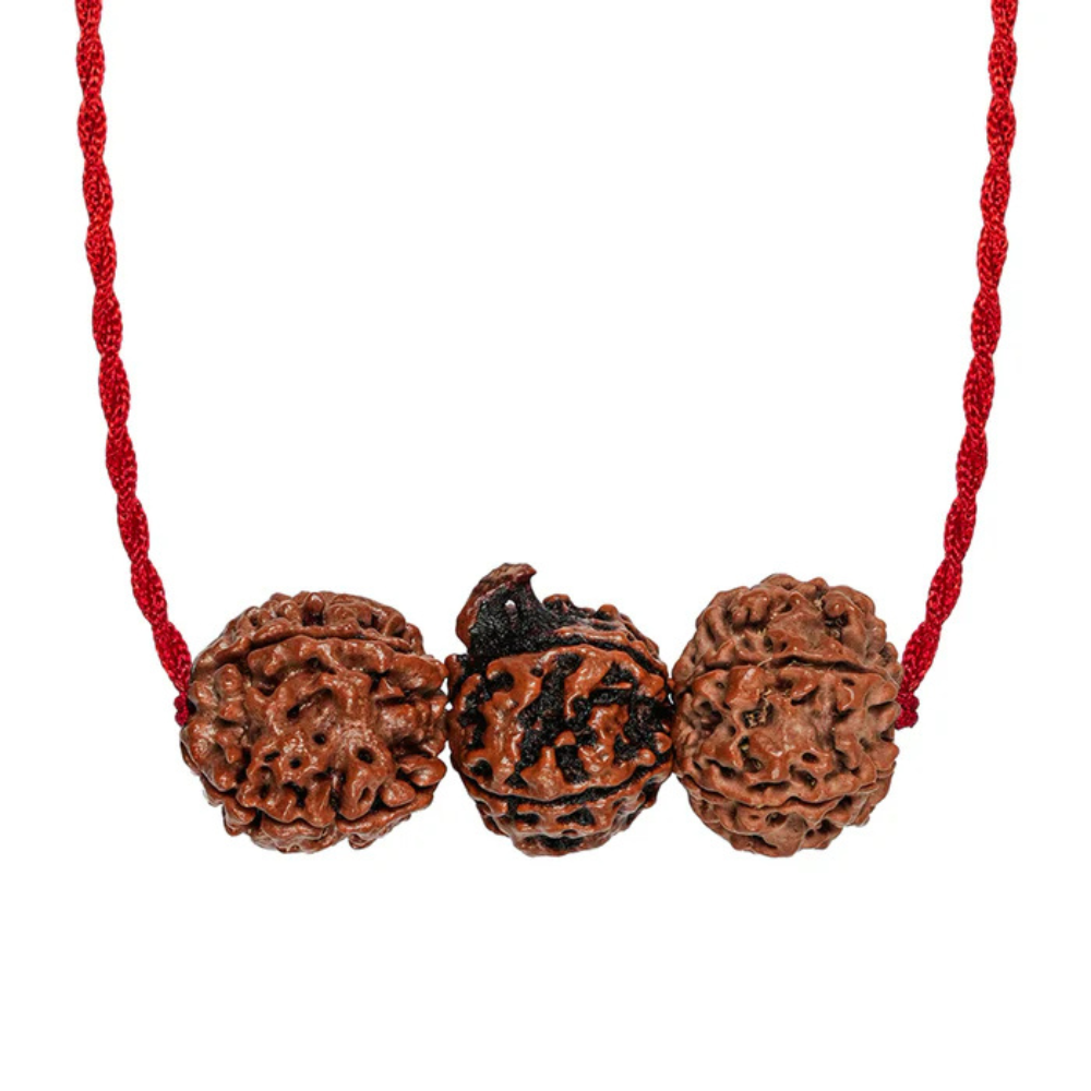 Saraswati Gyaan Kavach – 4 & 6 Mukhi + Ganesh Rudraksha Secondary image