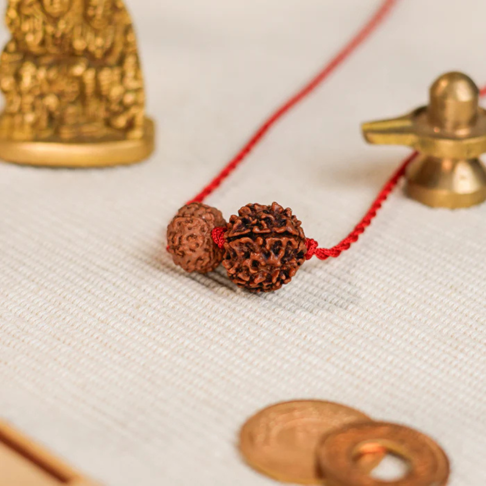 Aquarius Zodiac Rudraksha Kavach Main image