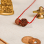 Aquarius Zodiac Rudraksha Kavach