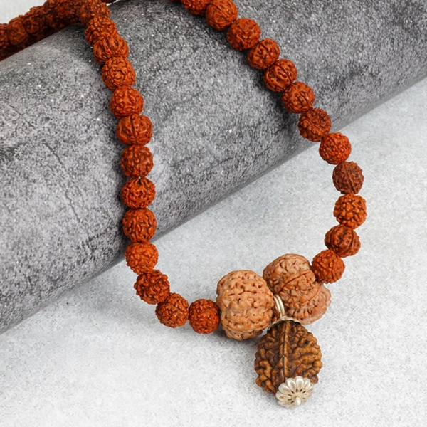 Swasth Vriddhi Mala - 7 Mukhi and 2 Mukhi Rudraksha