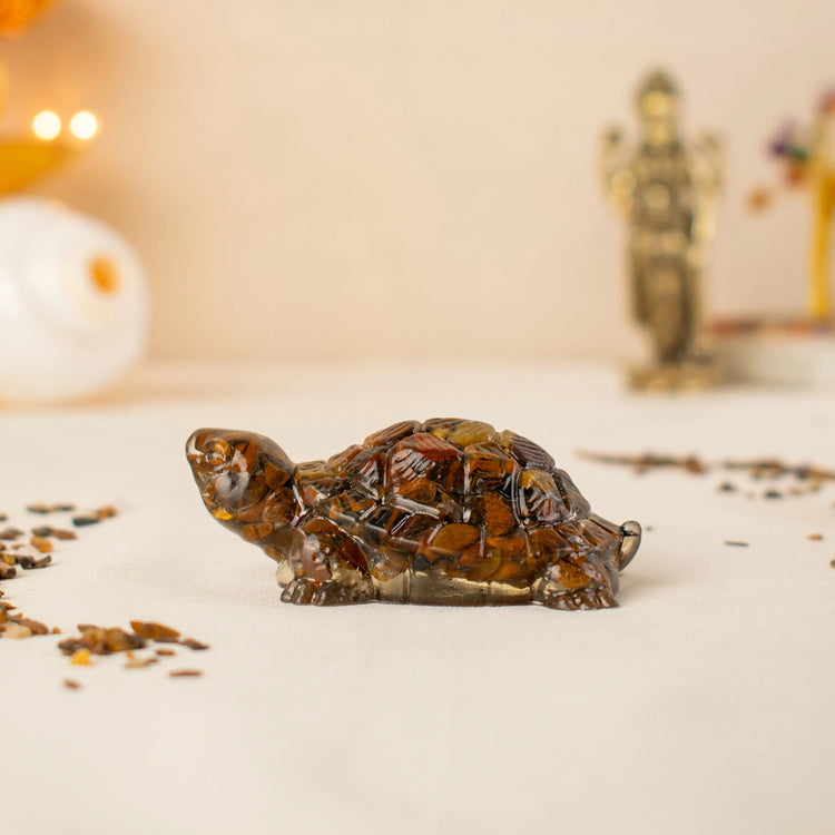 Vastu Tiger Eye Tortoise (Kachhua) Main image