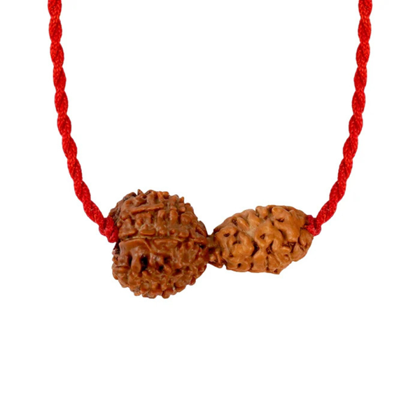 Chandra-Rahu Grahan Dosh Kavach – 2 & 8 Mukhi Rudraksha