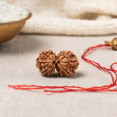 Gauri Shankar Rudraksha – Original Nepali Bead