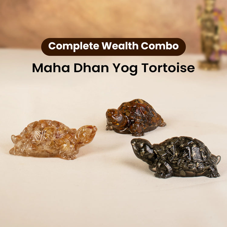 Maha Dhan Yog Tortoise Combo Main image