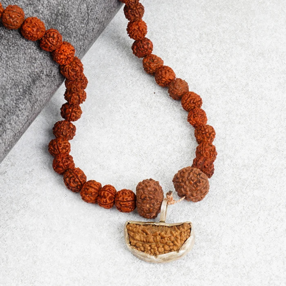 Dhanlaxmi Vriddhi Mala - 1 Mukhi and 9 Mukhi Rudraksha Main image