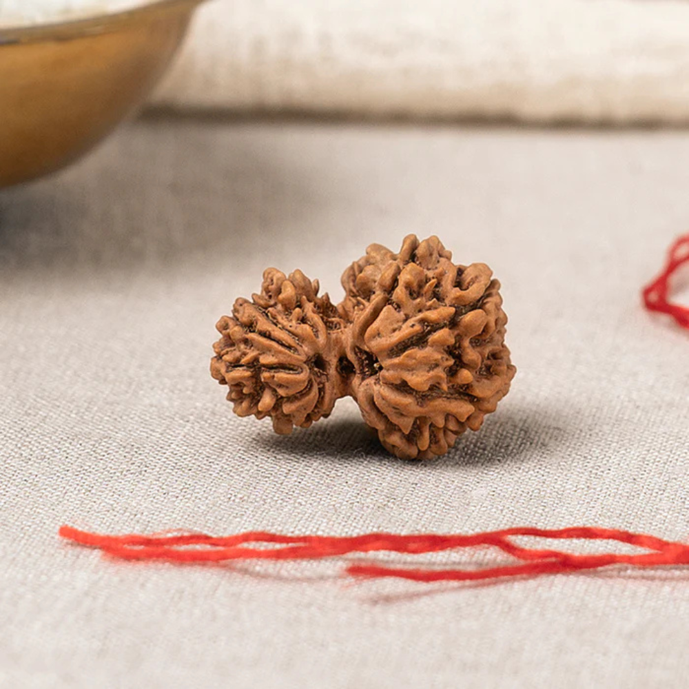 Garbh Gauri Shankar Rudraksha Bead Main image