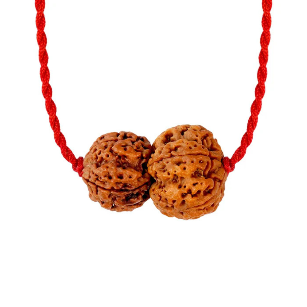 Budh-Guru Buddhi Vriddhi Kavach – 4 Mukhi Rudraksha Secondary image