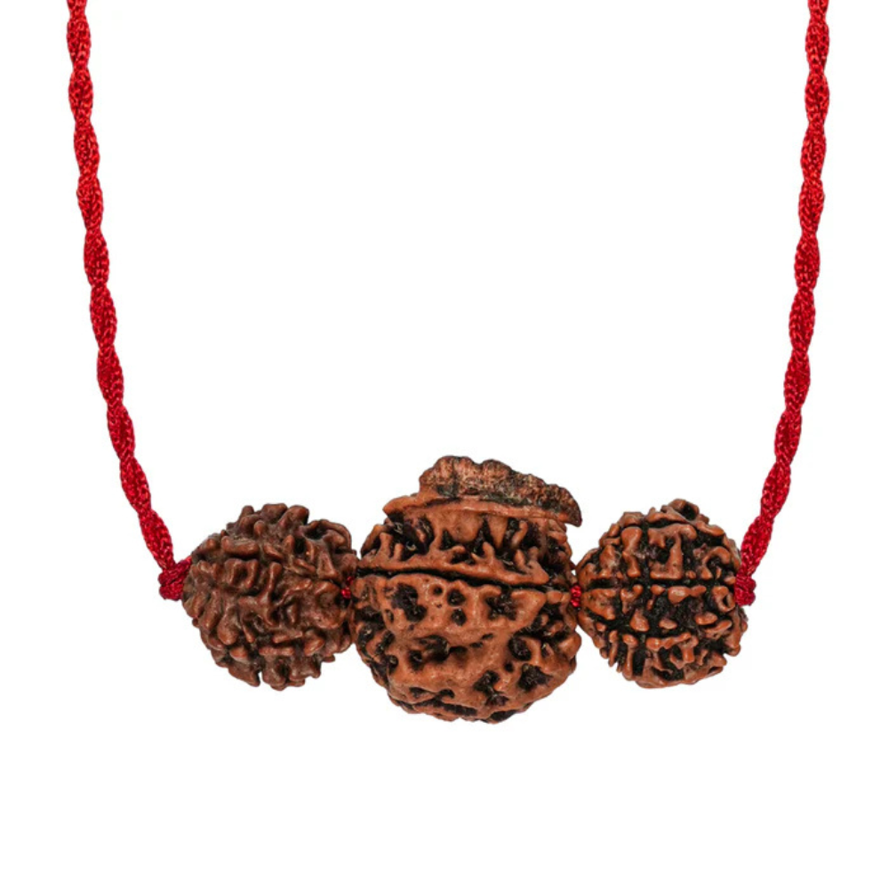 Dhan Laxmi Ganesh Kavach – 7 Mukhi + Ganesh Rudraksha