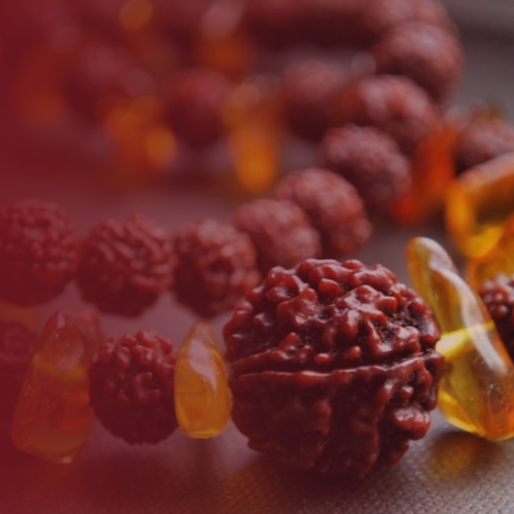 Natural 7 Mukhi Rudraksha (Nepali)