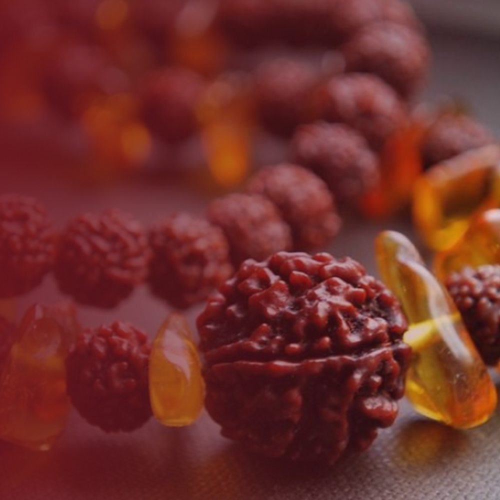 Natural 8 Mukhi Rudraksha (Nepali)