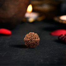 Natural 8 Mukhi Rudraksha (Nepali)