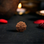 Natural 8 Mukhi Rudraksha (Nepali)