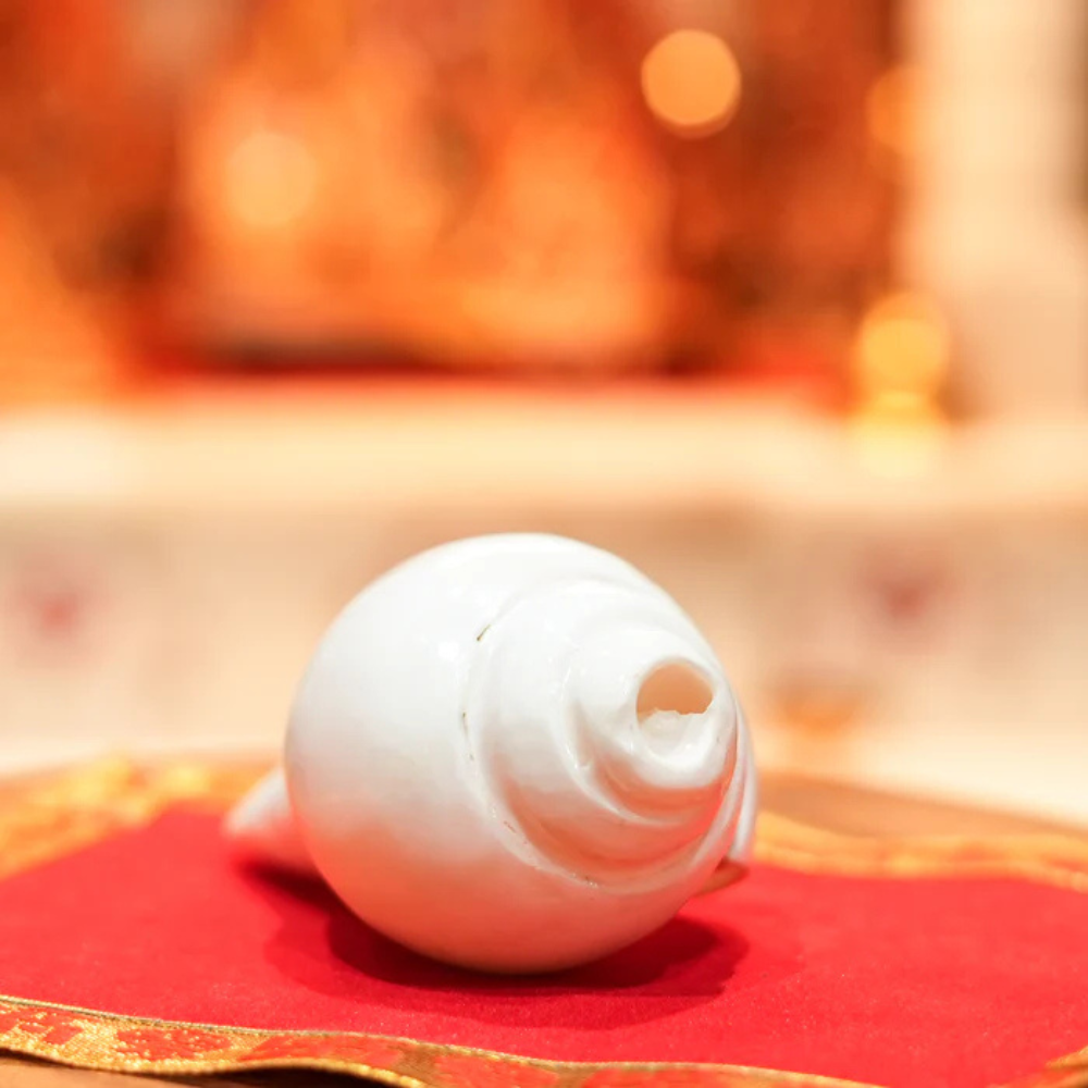 Divine Baynavarti/Vaamvarti Shankh – Variant 2 Secondary image