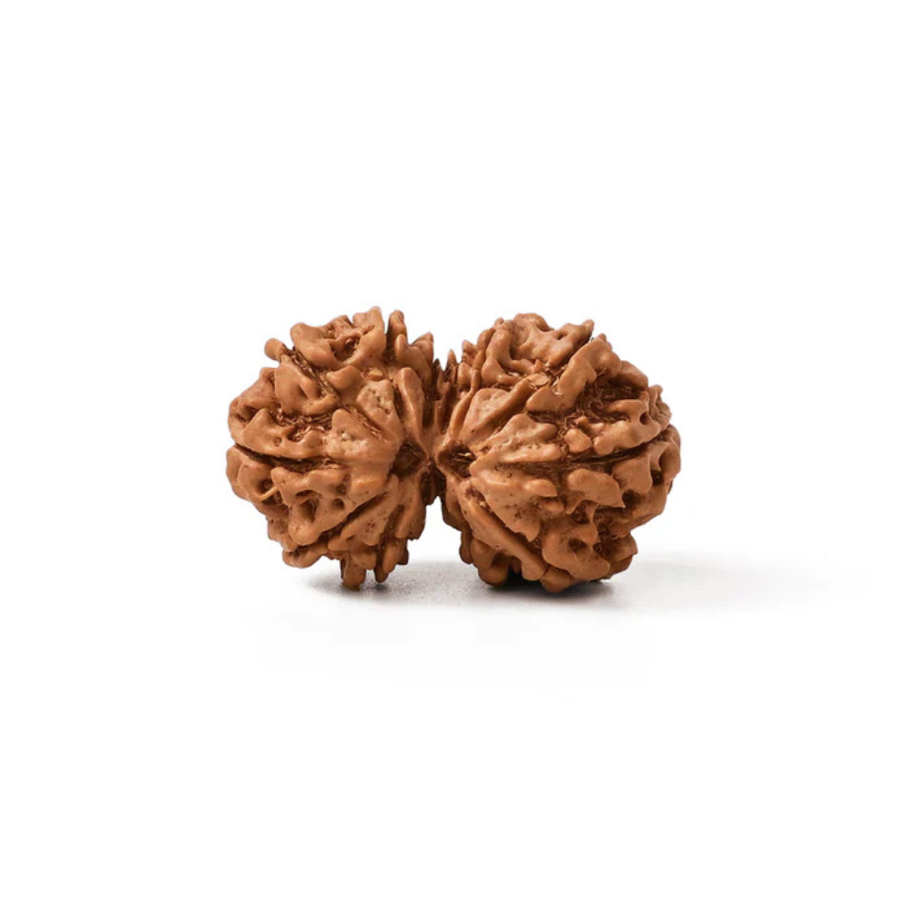 Gauri Shankar Rudraksha – Original Nepali Bead Secondary image