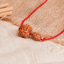 Gajkesari Yog Kavach – 2 Mukhi Rudraksha