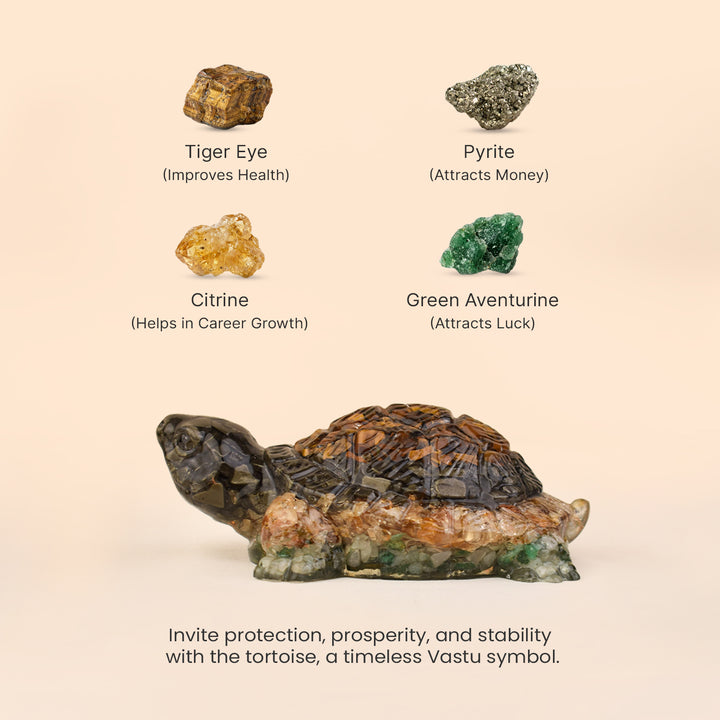 Collector’s Edition Vastu Dhan Yog Tortoise (Big size) Secondary image