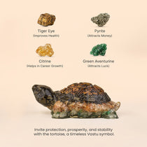 Collector’s Edition Vastu Dhan Yog Tortoise (Big size)