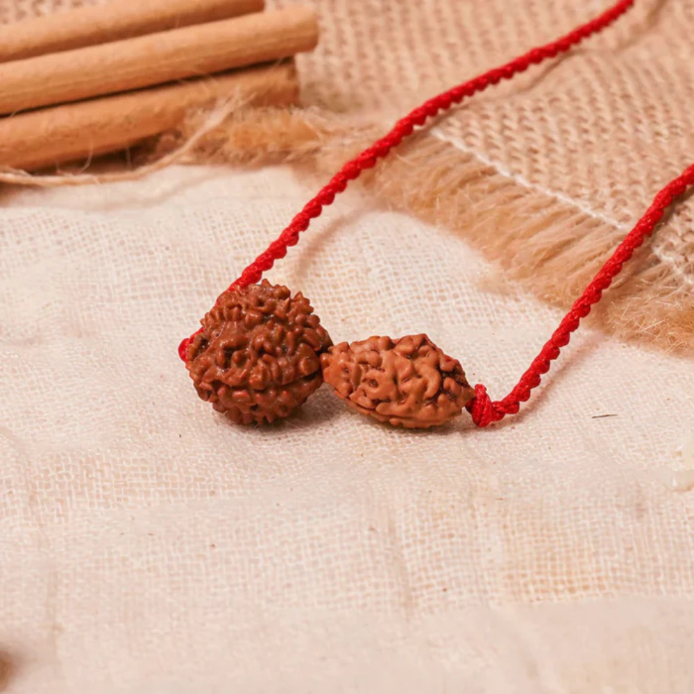 Chandra-Rahu Grahan Dosh Kavach – 2 & 8 Mukhi Rudraksha Main image