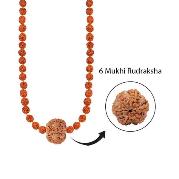 Skanda Shakti Mala – 6 Mukhi Rudraksha