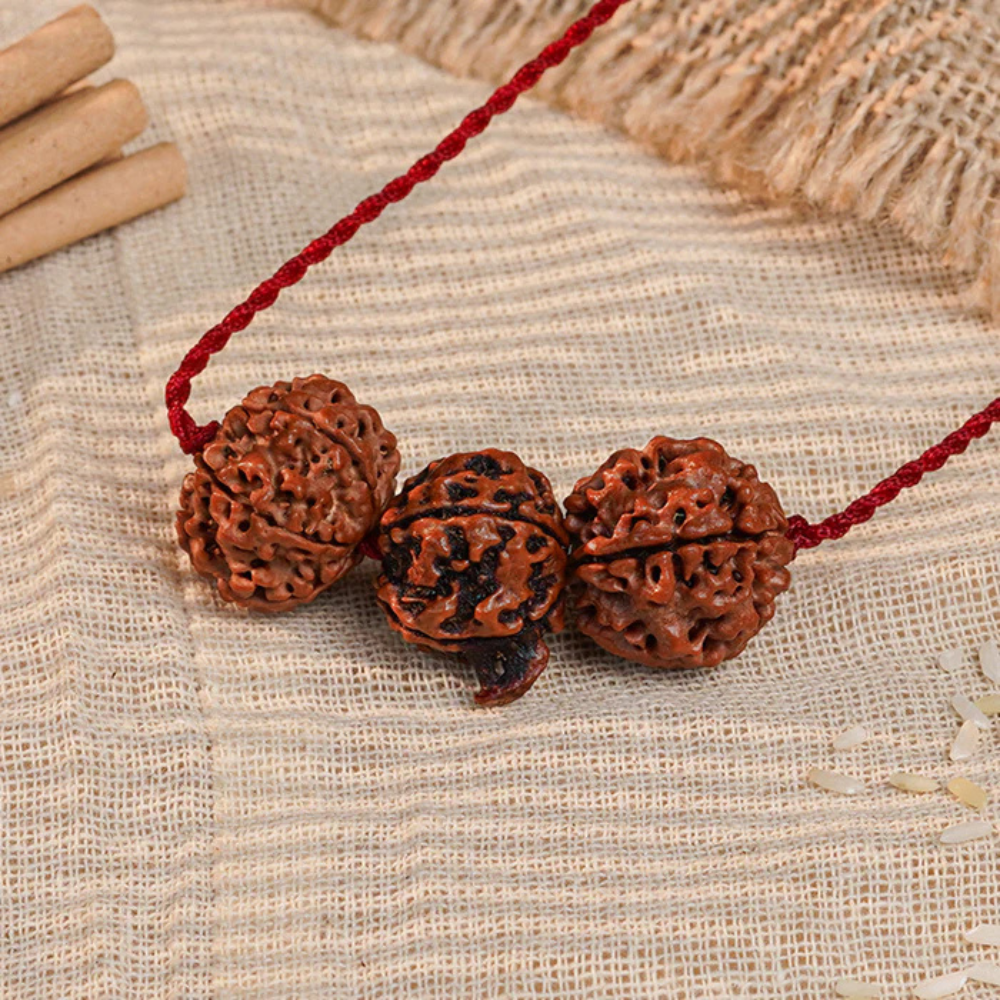 Saraswati Gyaan Kavach – 4 & 6 Mukhi + Ganesh Rudraksha Main image