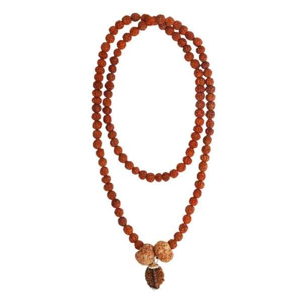 Swasth Vriddhi Mala - 7 Mukhi and 2 Mukhi Rudraksha