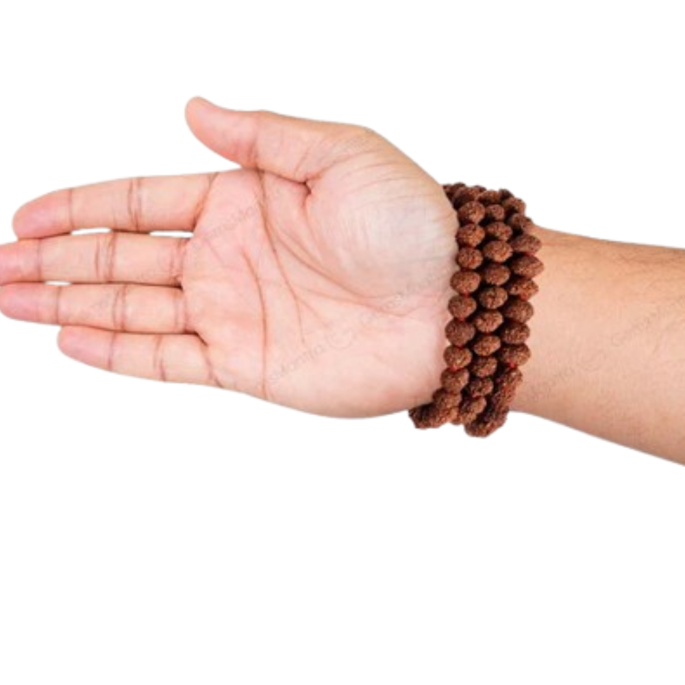 5 Mukhi Rudraksha Mala – 108+1 Beads, for Japa Main image