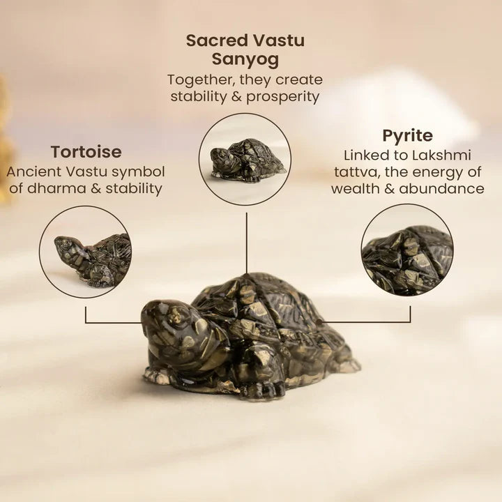 Vastu Pyrite Tortoise Combo – Small Kachhua with Big Kachhua