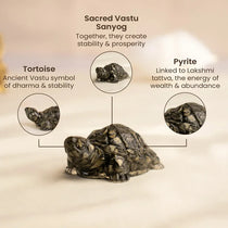 Dhan Lakshmi Bracelet with Vastu Pyrite Tortoise (Kachhua)