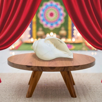Divine Baynavarti/Vaamvarti Shankh – Variant 3