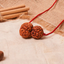 Budh-Guru Buddhi Vriddhi Kavach – 4 Mukhi Rudraksha