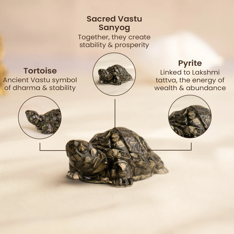 Vastu Pyrite Tortoise (Pack of 2)