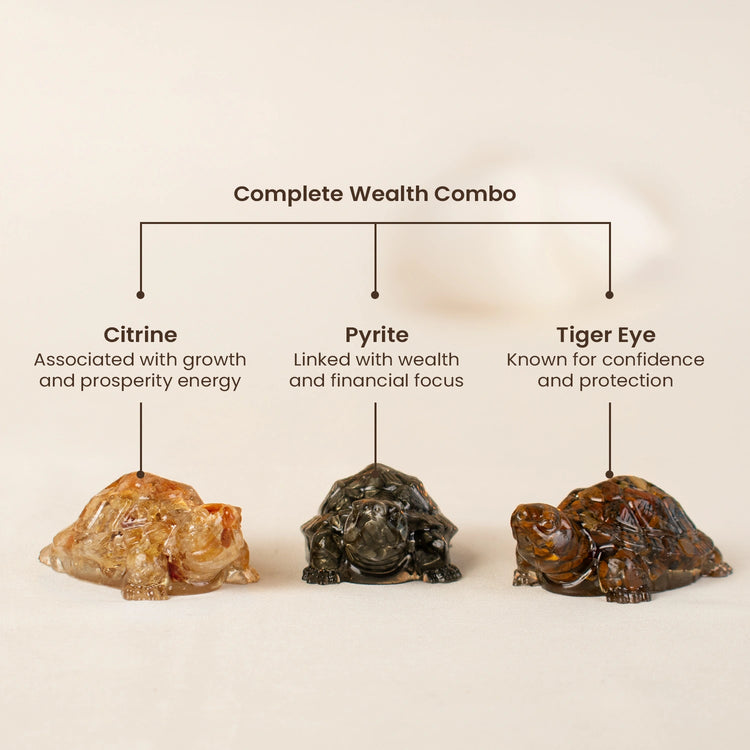 Maha Dhan Yog Tortoise Combo