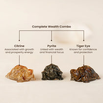Maha Dhan Yog Tortoise Combo