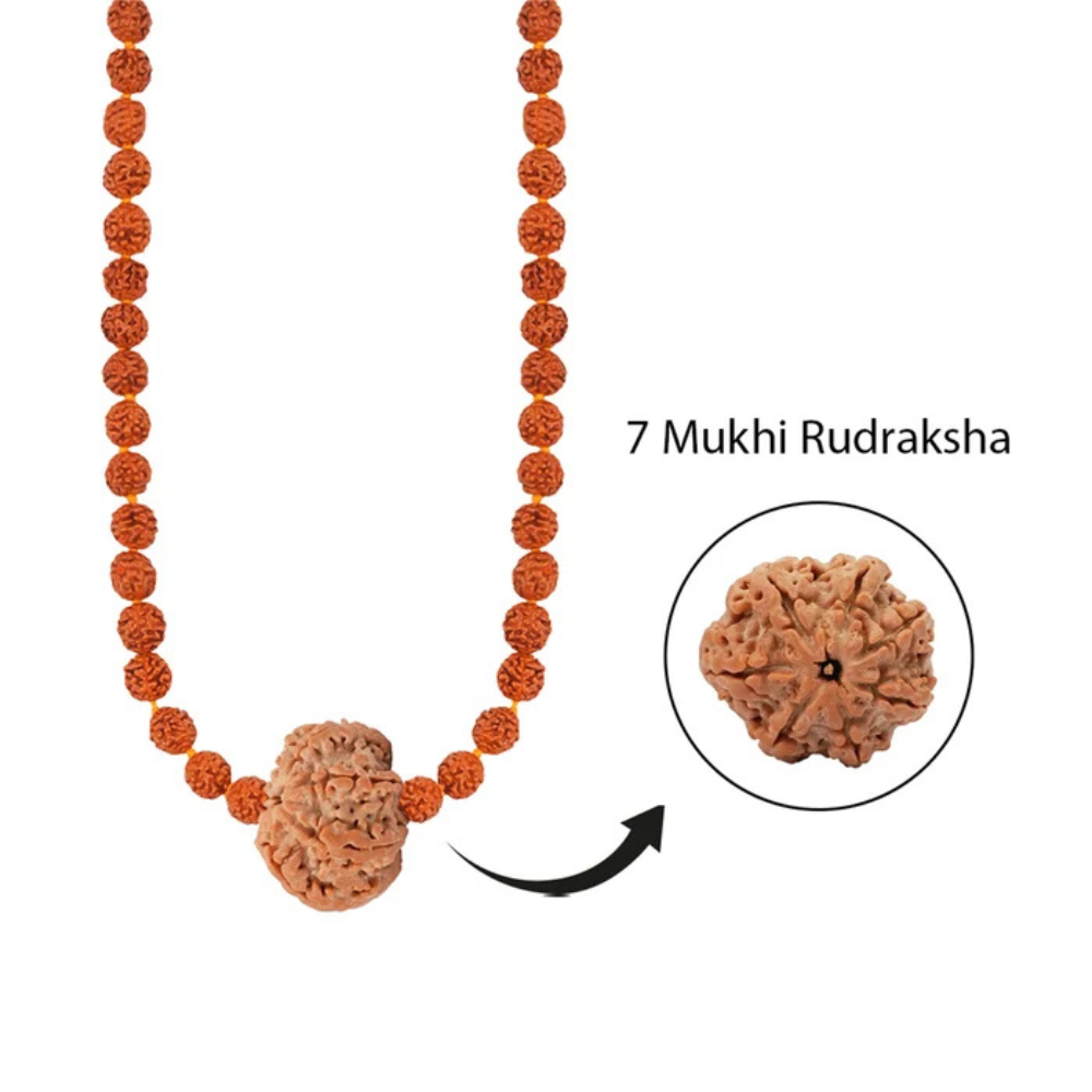 Panch Saptarishi Energy Mala – 7 Mukhi Rudraksha Secondary image