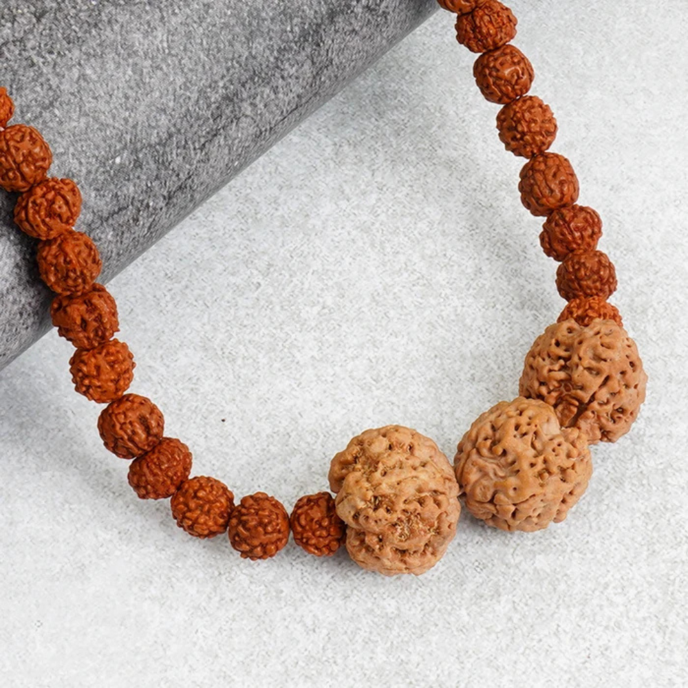 Vidya Vriddhi Mala - 4 Mukhi and 5 Mukhi Rudraksha