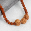Vidya Vriddhi Mala - 4 Mukhi and 5 Mukhi Rudraksha