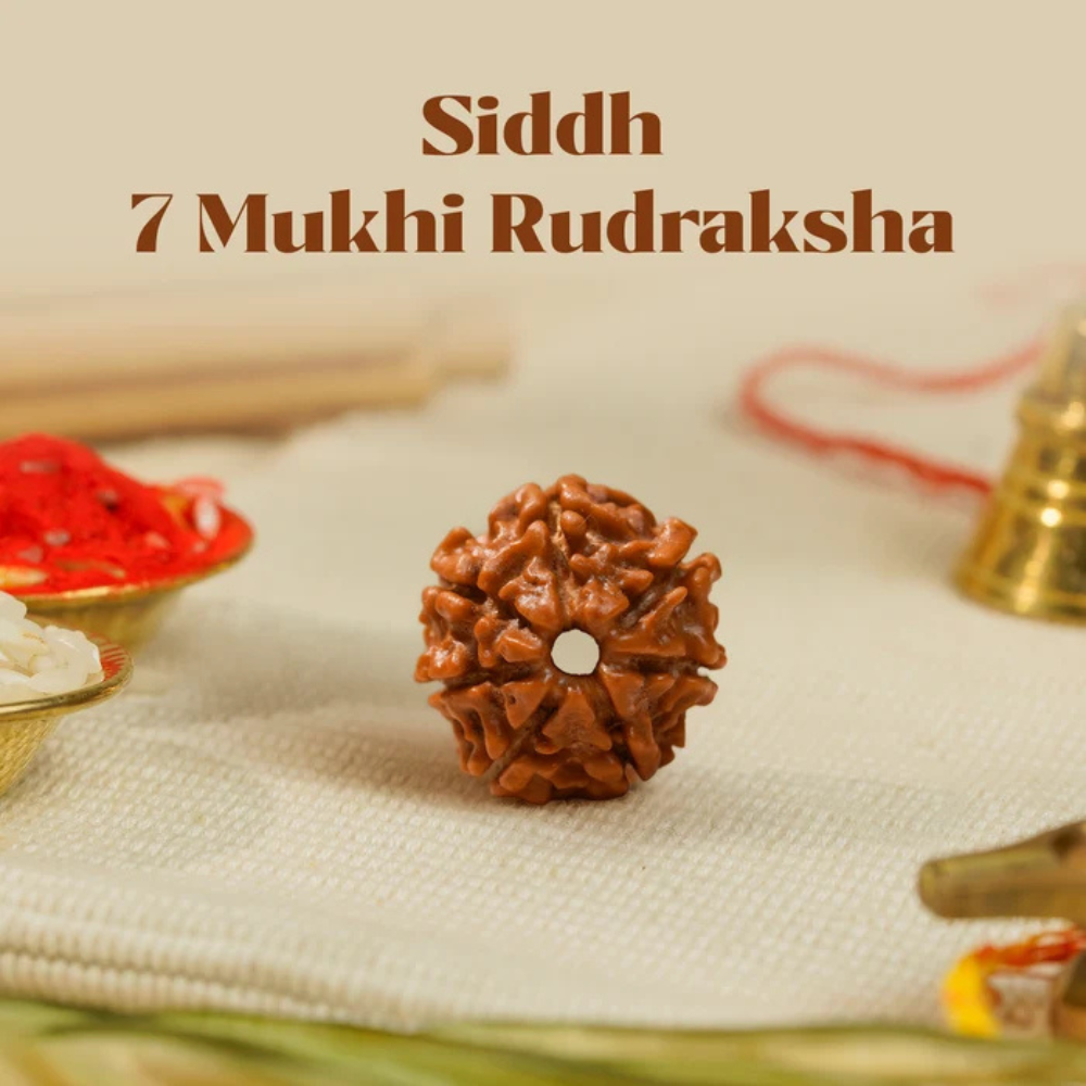 7 Mukhi Rudraksha – Kashi Siddh Ritual Energized Nepali Bead Secondary image